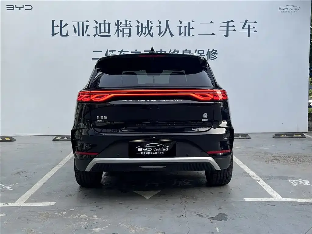 BYD Tang New Energy 2025 из CN, фото 3