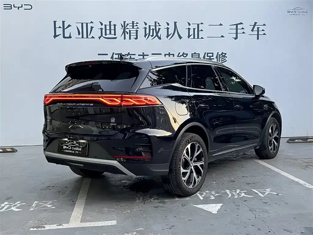 BYD Tang New Energy 2025 из CN, фото 6