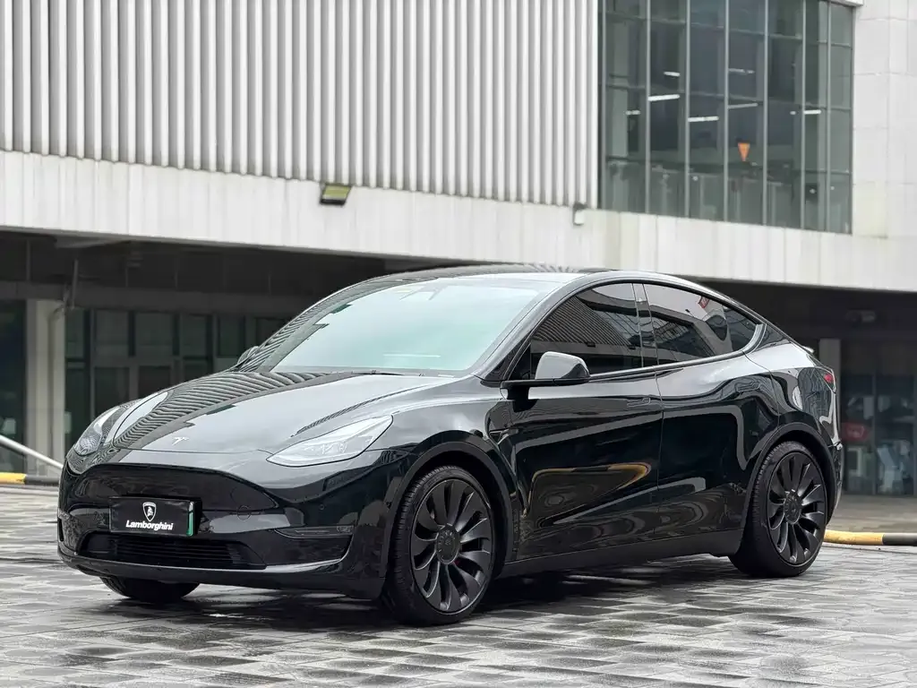 Tesla Model Y — фото 1