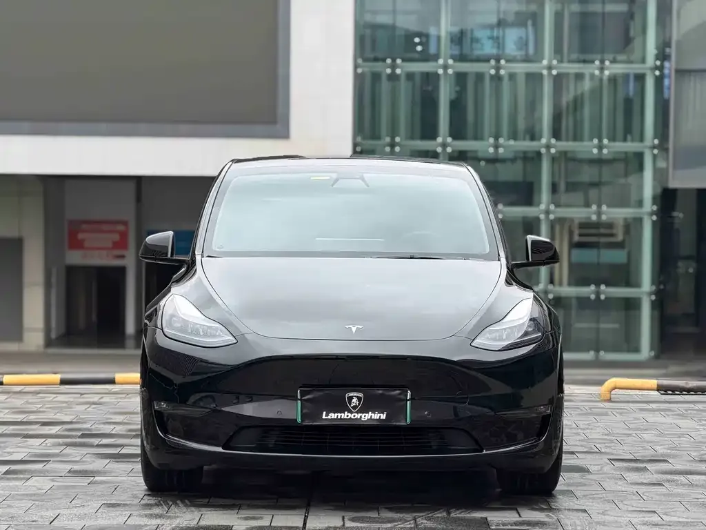 Tesla Model Y — фото 5