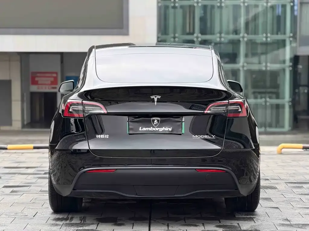 Tesla Model Y — фото 6