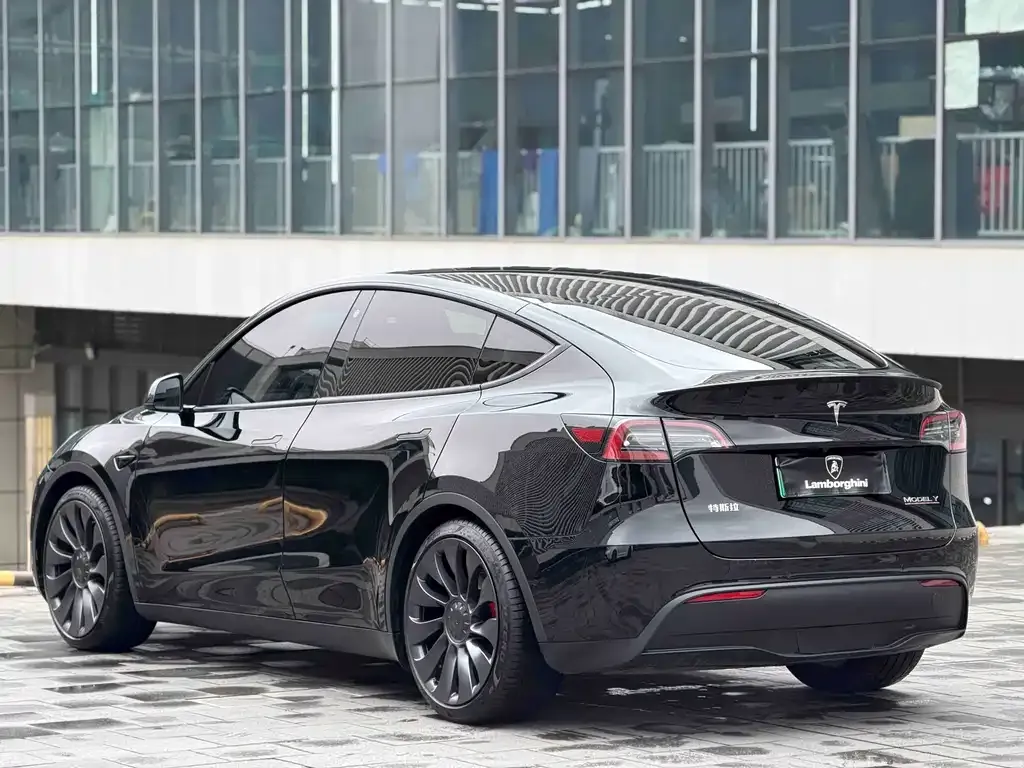 Tesla Model Y — фото 9