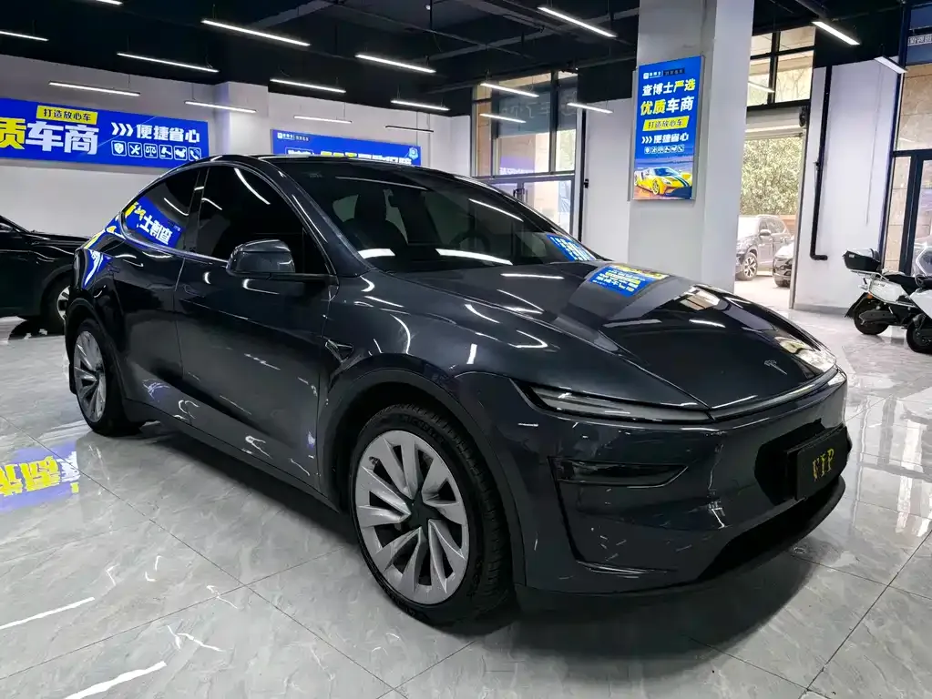 Tesla Model Y — фото 3