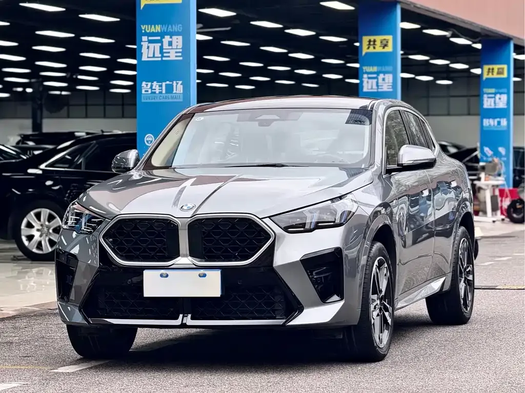 BMW X2 (Import) 2024 из CN, фото 1