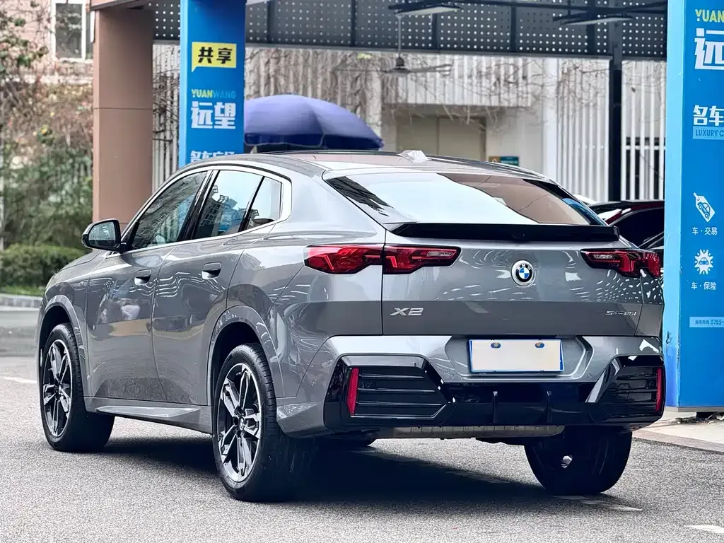 BMW X2 (Import) 2024 из CN, фото 9