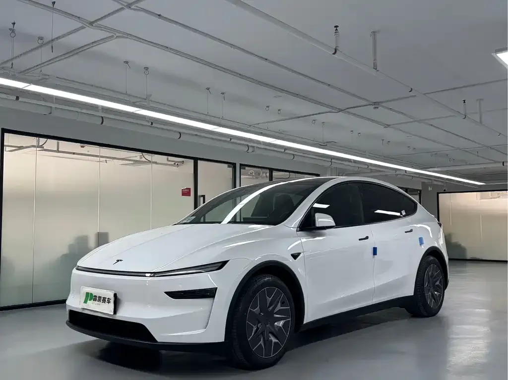 Tesla Model Y L — фото 1