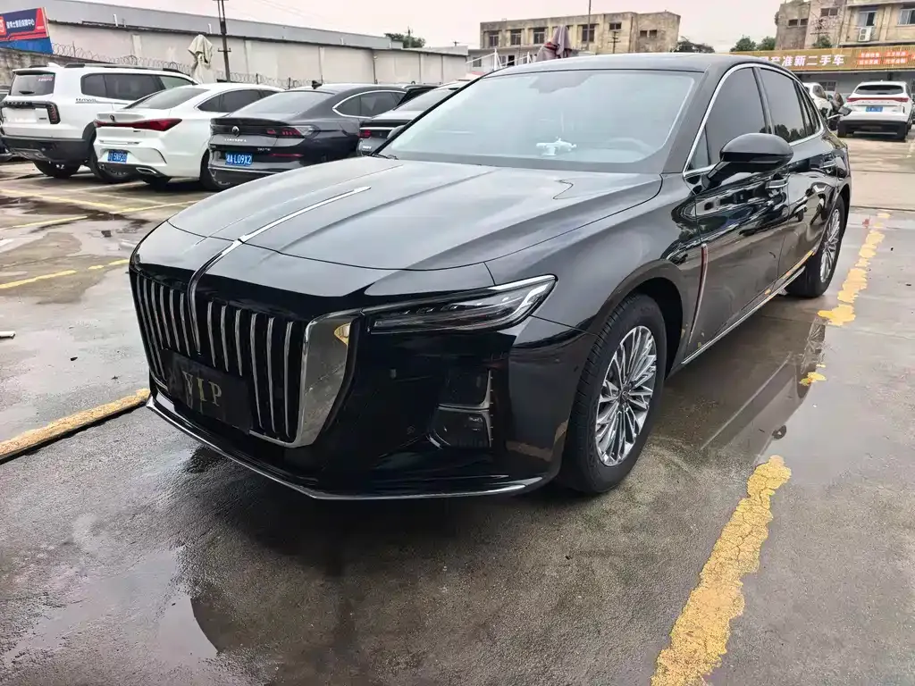 Hongqi H5 2023 из CN, фото 1