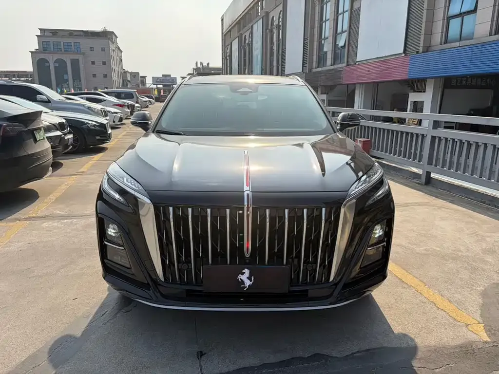 Hongqi HS3 2023 из CN, фото 10
