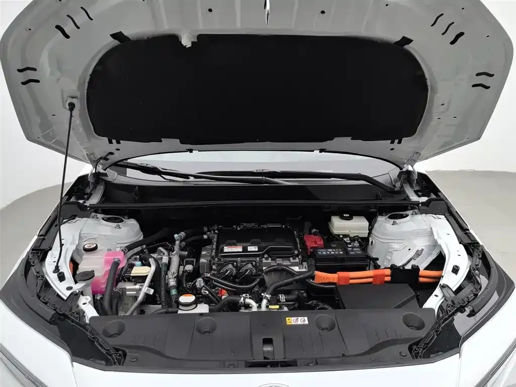 Toyota Platinum 4X 2024 из CN, фото 9