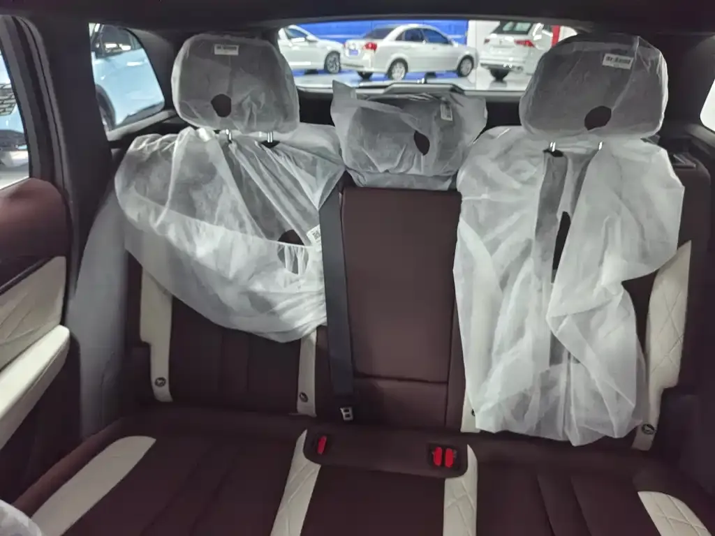 Geely Xingyue L 2024 из CN, фото 10