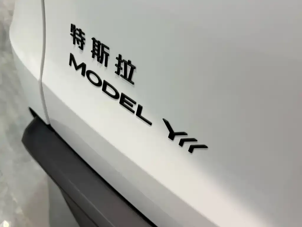 Tesla Model Y L 2026 из CN, фото 2