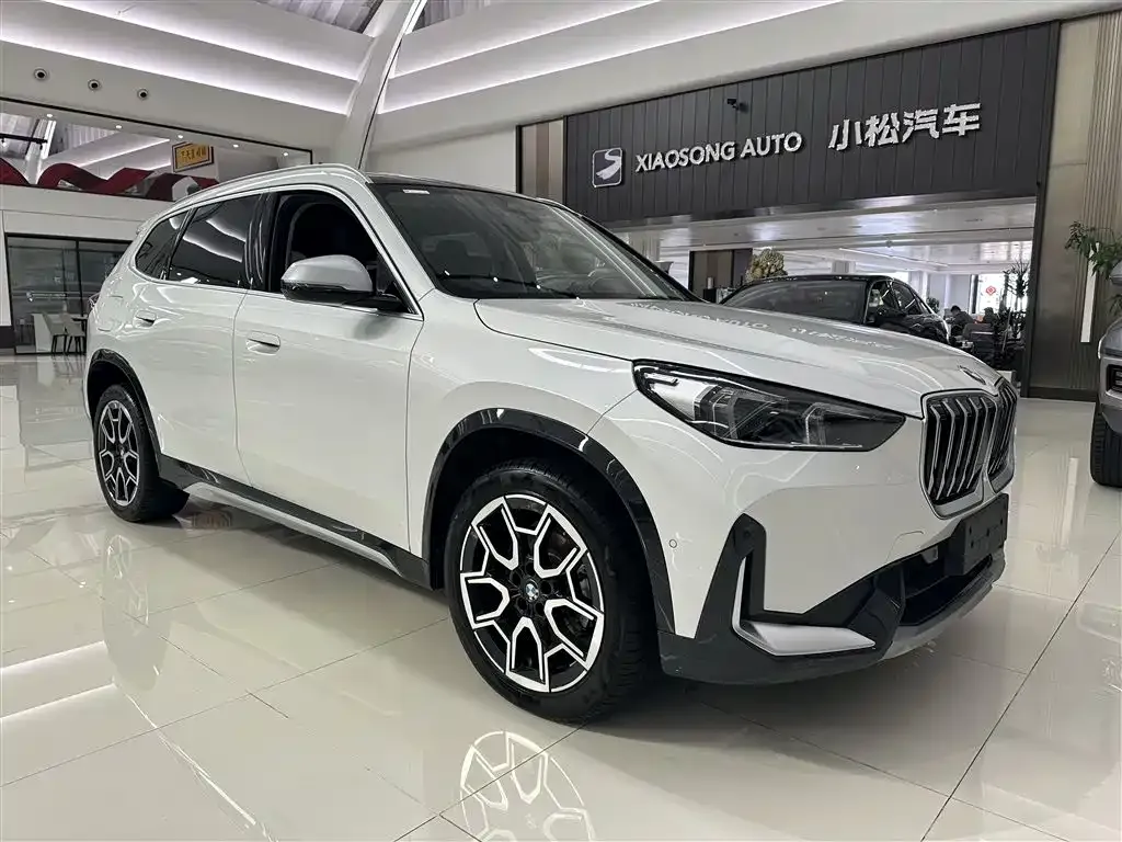 BMW X1 2024 из CN, фото 6