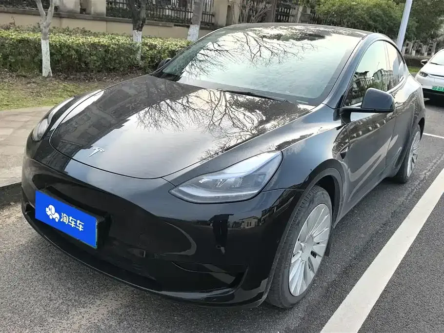 Tesla Model Y — фото 1