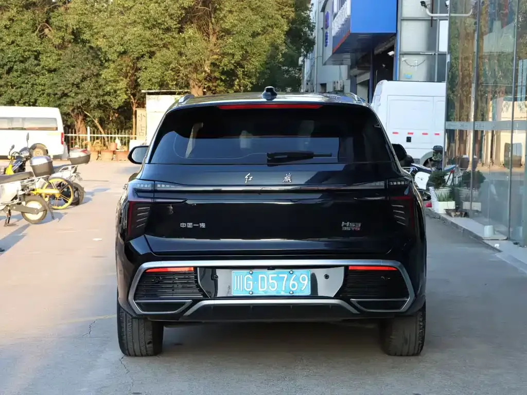 Hongqi HS3 2024 из CN, фото 9