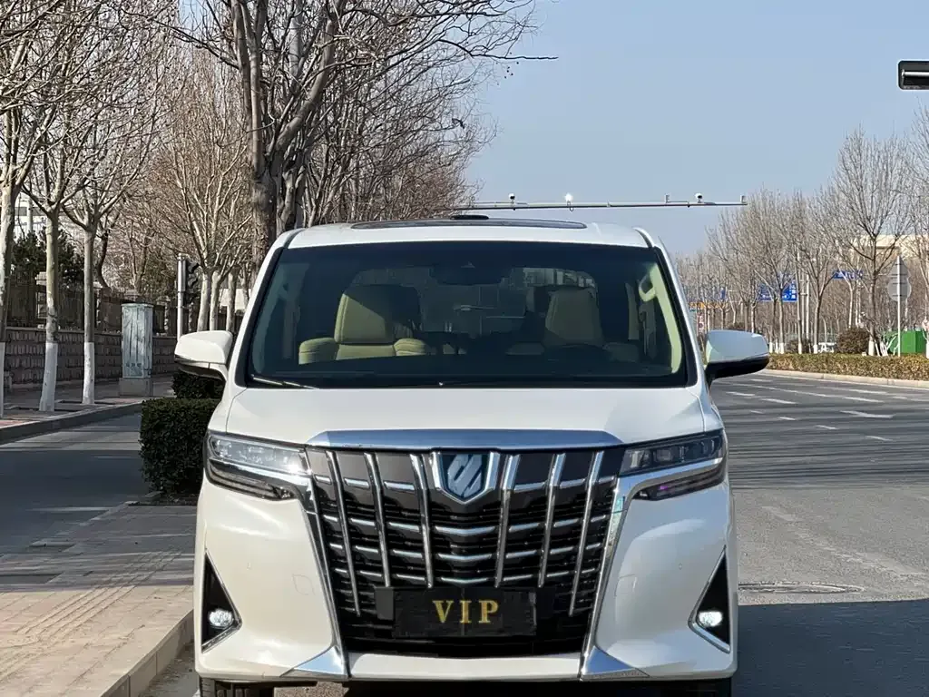 Toyota Alphard — фото 10