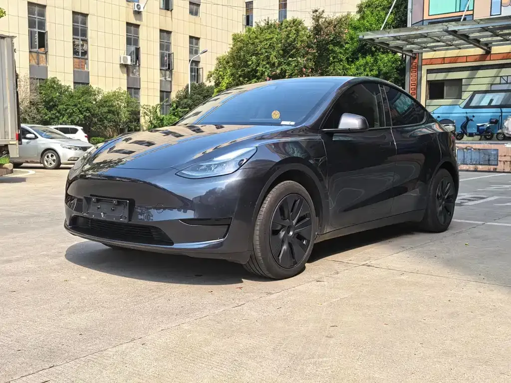 Tesla Model Y — фото 1