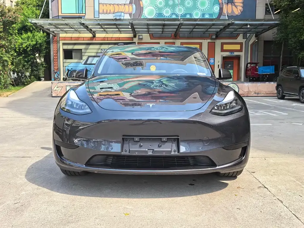 Tesla Model Y — фото 10