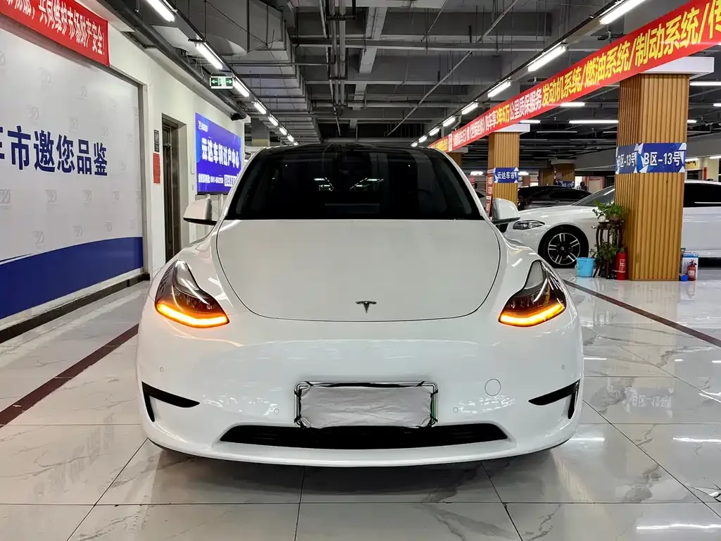 Tesla Model Y 2023 из CN, фото 1