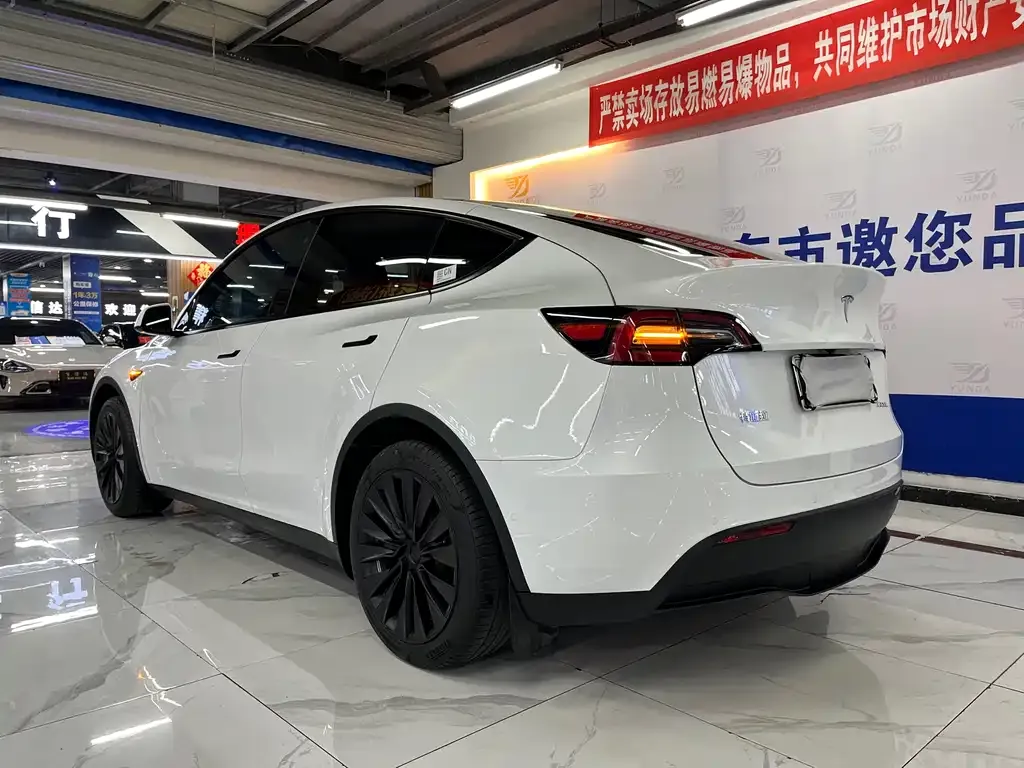 Tesla Model Y 2023 из CN, фото 2