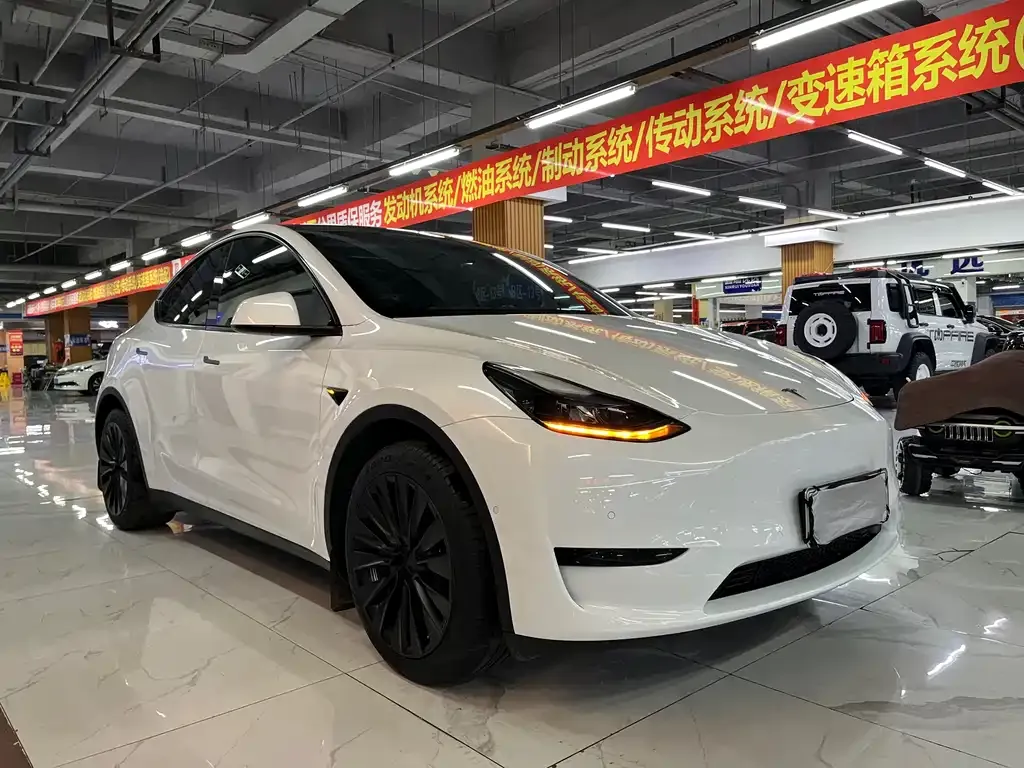 Tesla Model Y 2023 из CN, фото 10