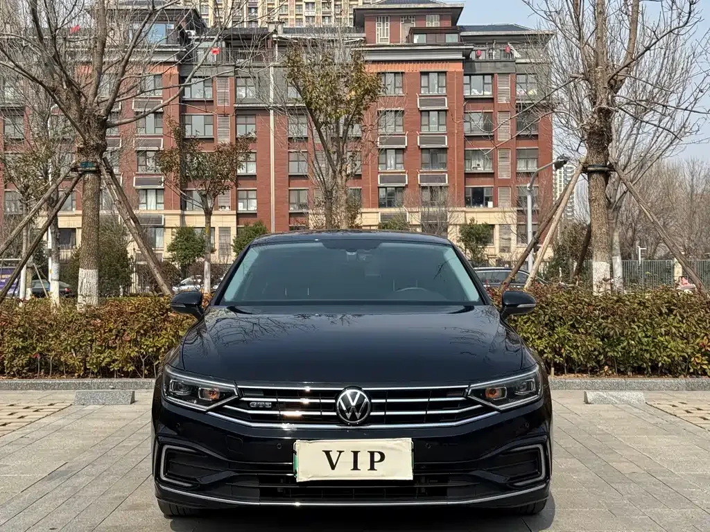 Volkswagen Magotan GTE PHEV 2021 из CN, фото 9