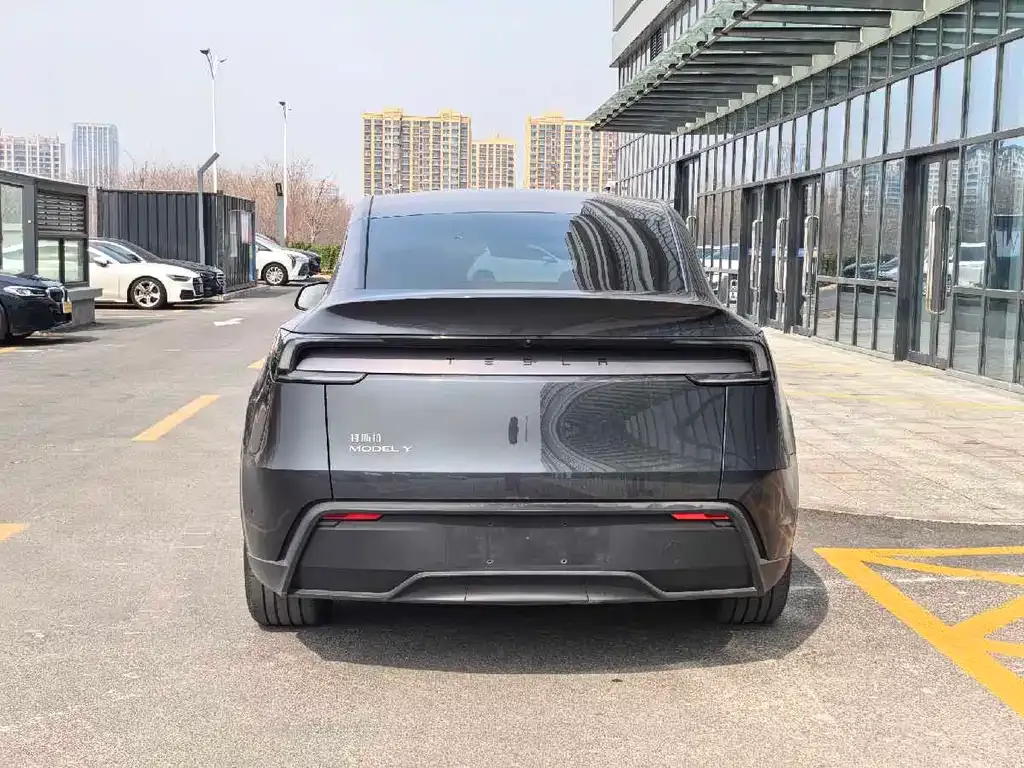 Tesla Model Y 2025 из CN, фото 5