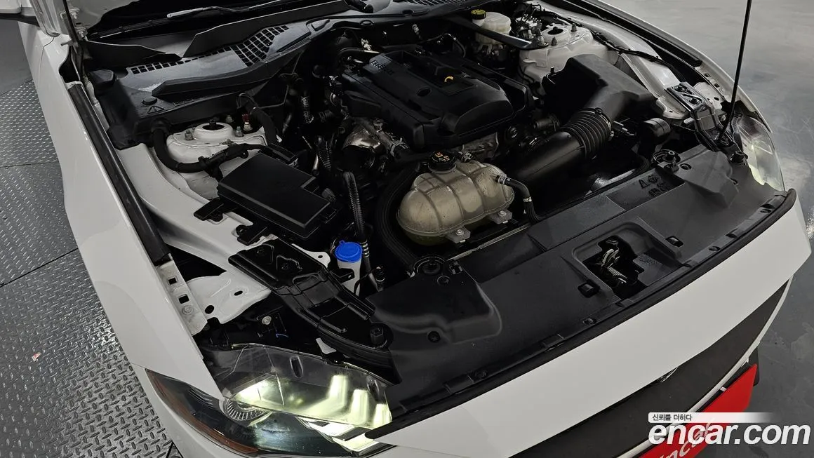 Ford Mustang 2022 из KR, фото 5