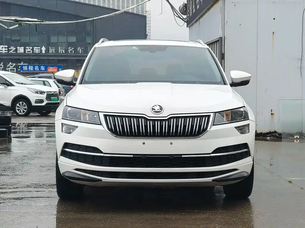 Skoda Karoq 2023 из CN, фото 6