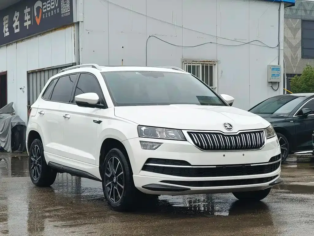 Skoda Karoq 2023 из CN, фото 7