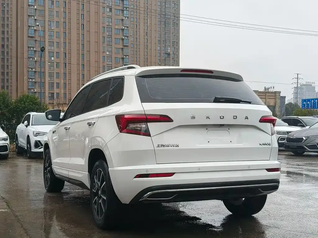 Skoda Karoq 2023 из CN, фото 2