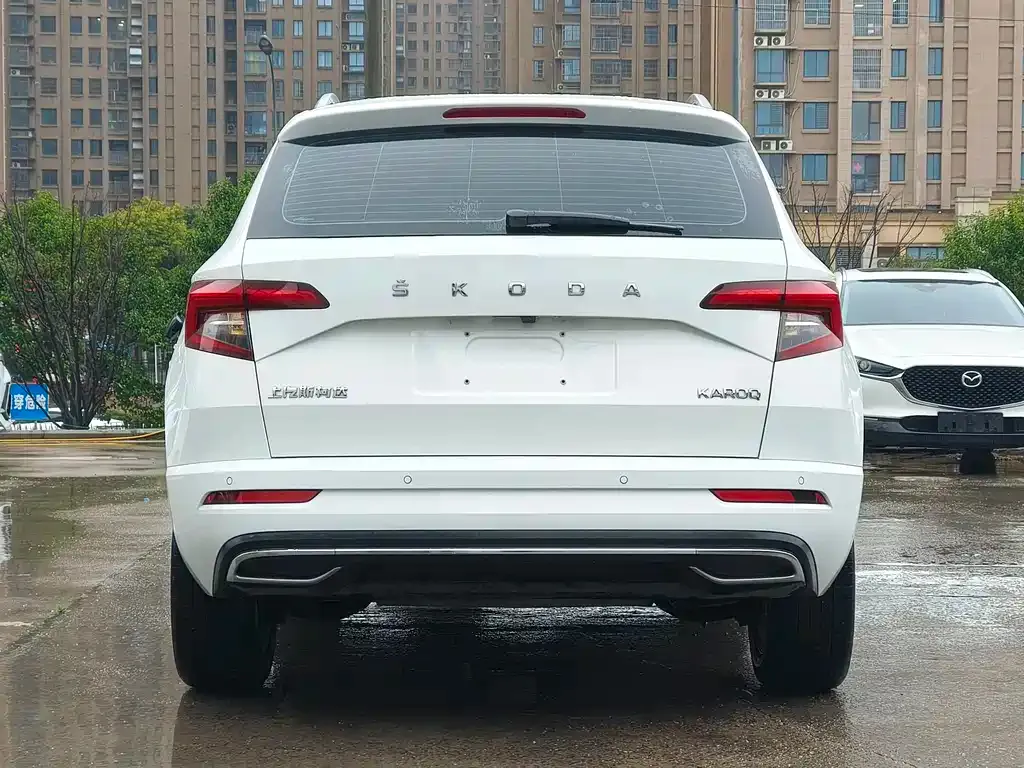 Skoda Karoq 2023 из CN, фото 10