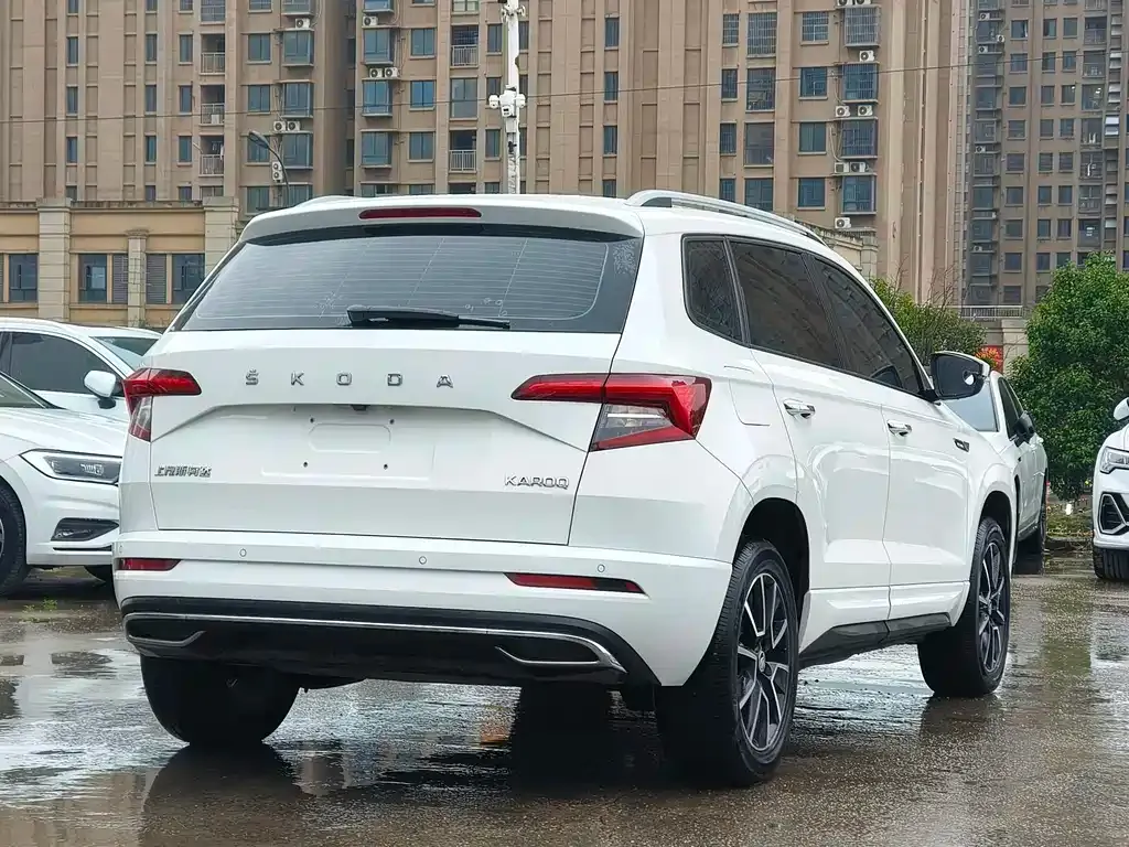 Skoda Karoq 2023 из CN, фото 9