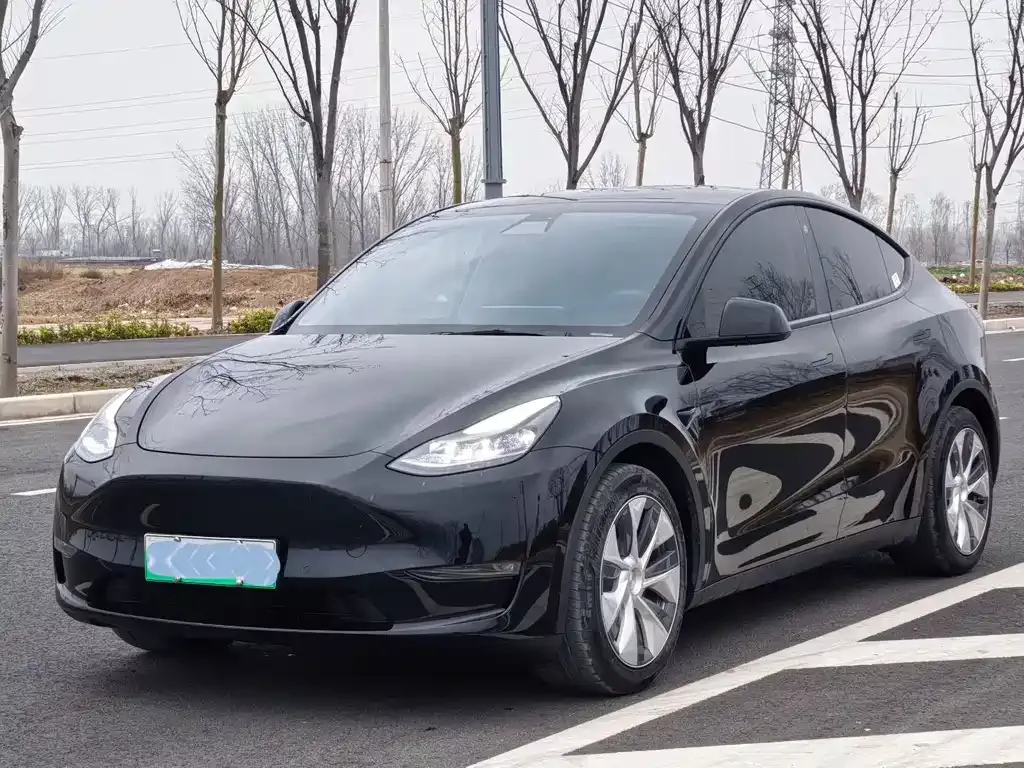 Tesla Model Y — фото 1