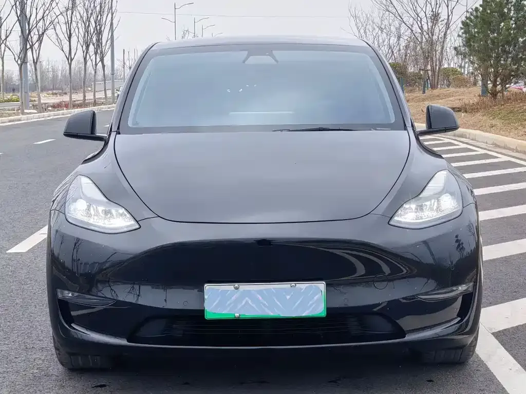 Tesla Model Y — фото 6
