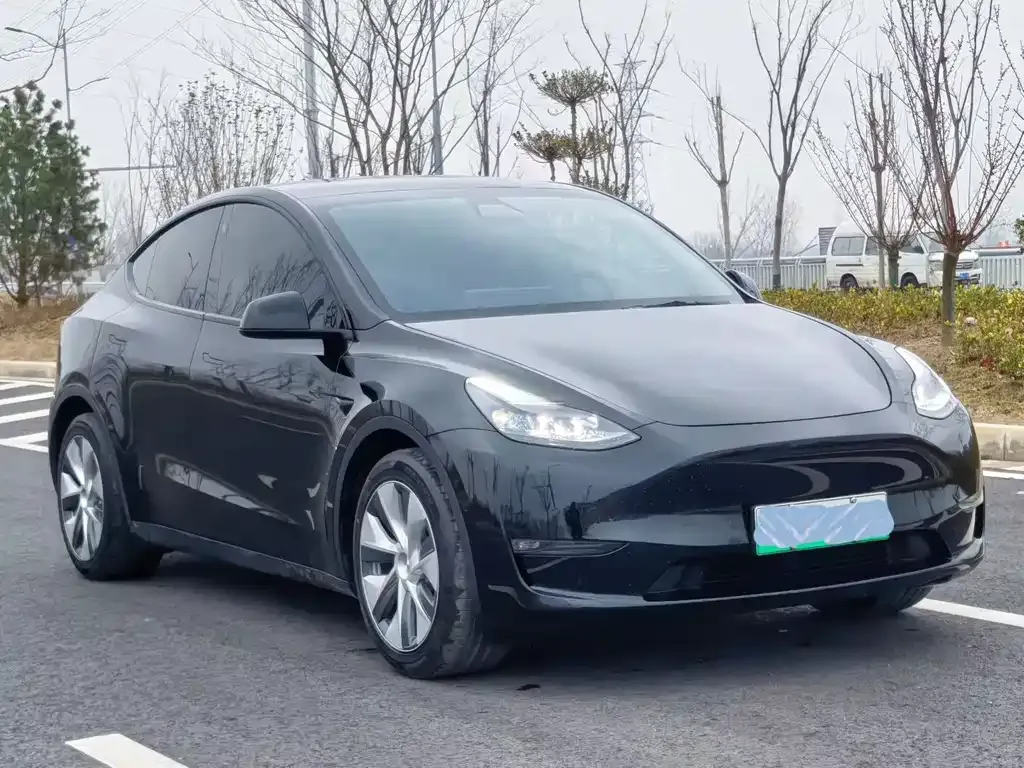 Tesla Model Y — фото 9