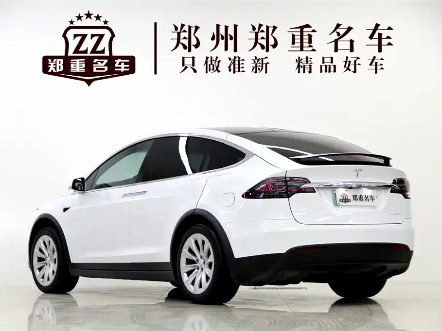 Tesla Model X 2021 из CN, фото 9