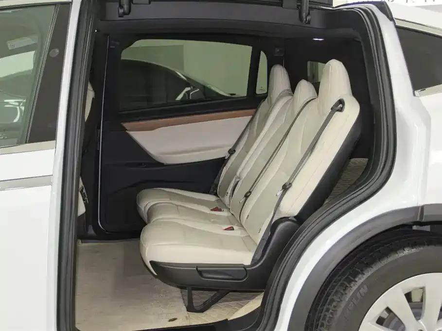 Tesla Model X 2021 из CN, фото 2