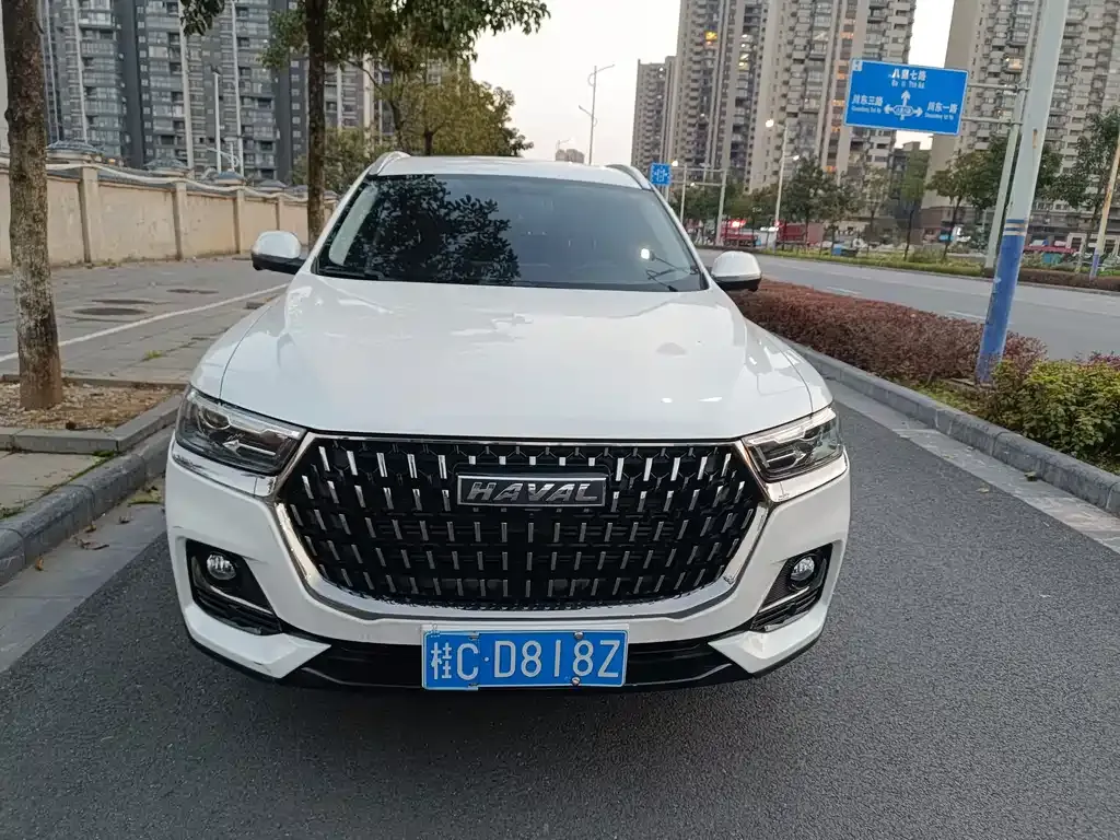 Haval H6 2024 из CN, фото 2