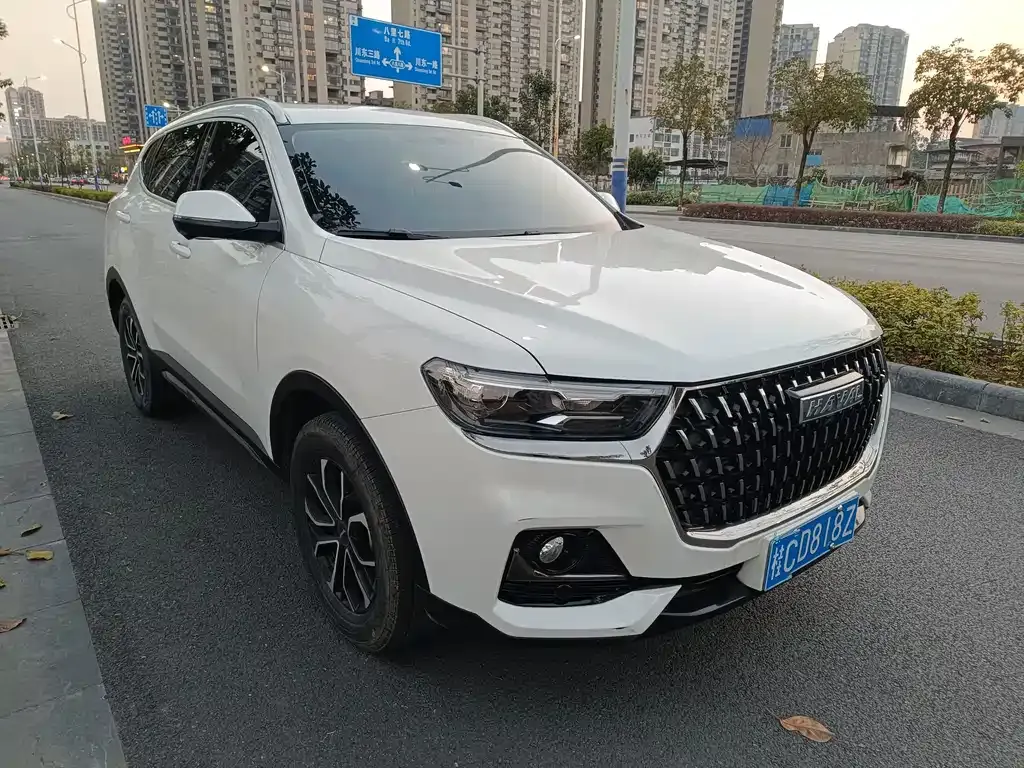Haval H6 2024 из CN, фото 5