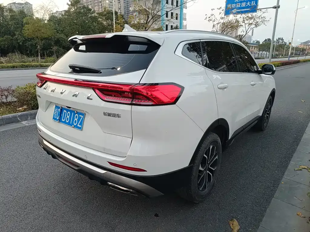 Haval H6 2024 из CN, фото 6