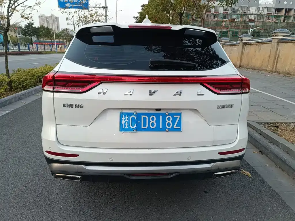 Haval H6 2024 из CN, фото 8