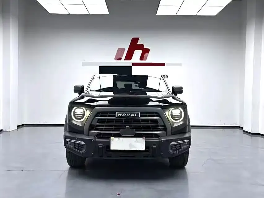 Haval Big Dog 2023 из CN, фото 5