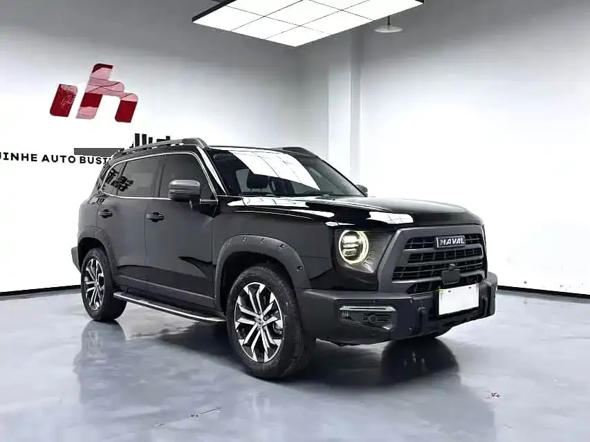Haval Big Dog 2023 из CN, фото 6