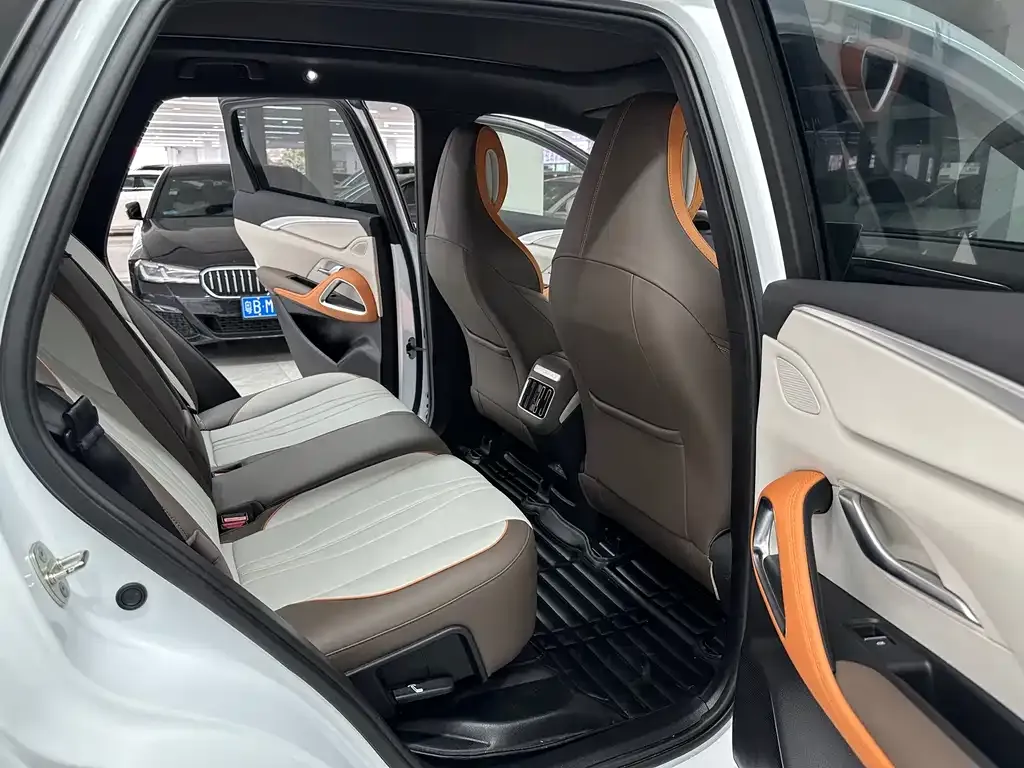 BYD Pro New Energy 2023 из CN, фото 4