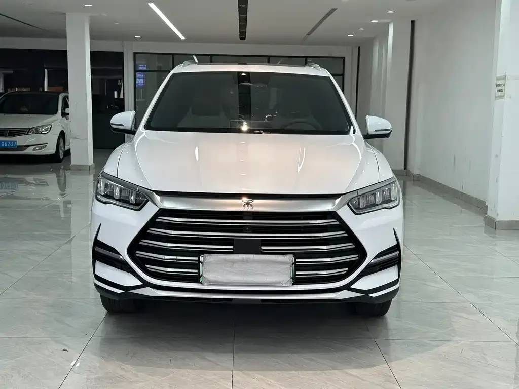 BYD Pro New Energy 2023 из CN, фото 5