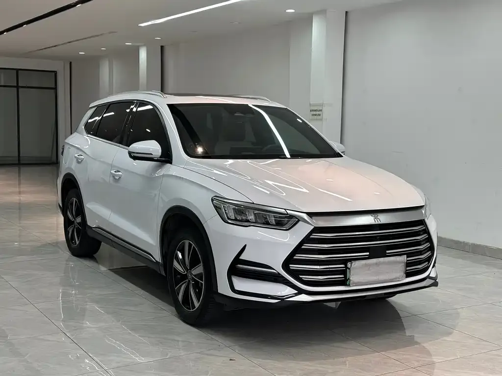 BYD Pro New Energy 2023 из CN, фото 2