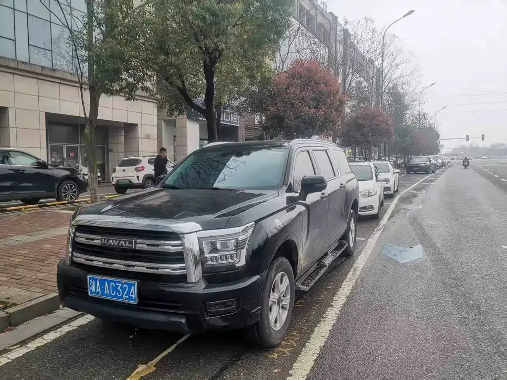 Haval H5 2024 из CN, фото 9