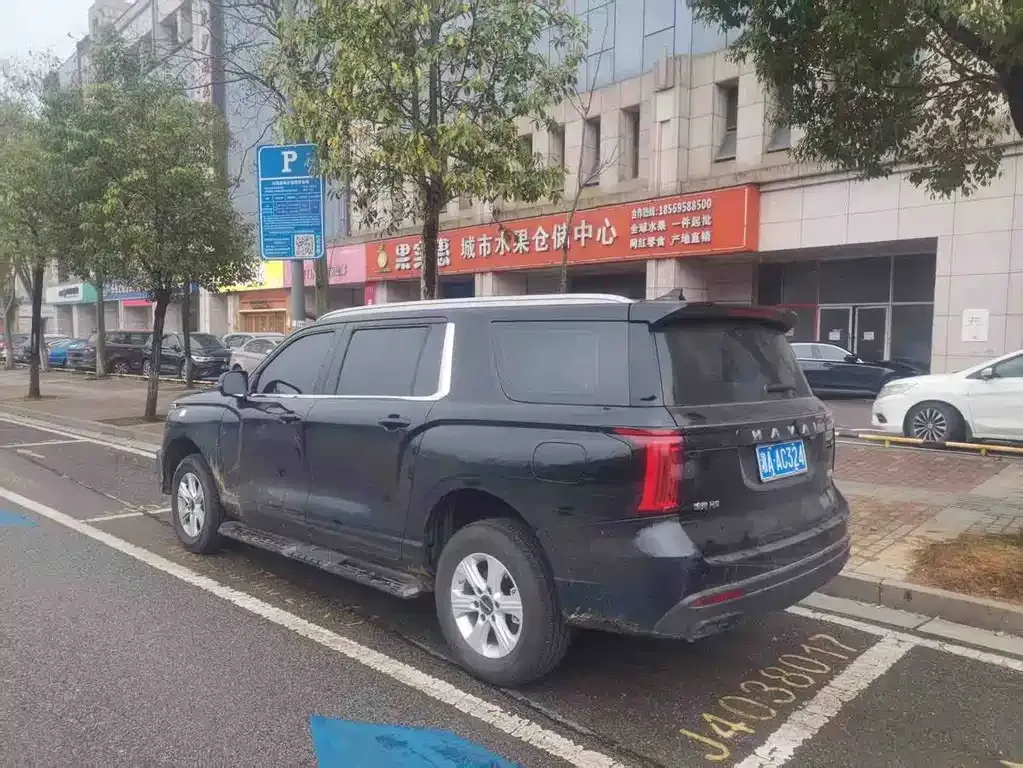 Haval H5 2024 из CN, фото 8