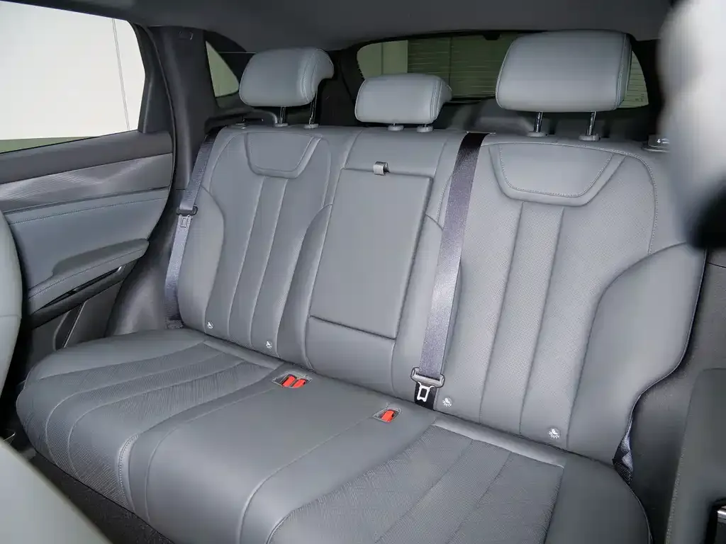 BYD L DM-i — фото 2