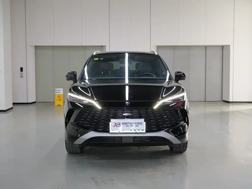 BYD L DM-i — фото 6